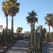 IMG 0001 2 (97)
